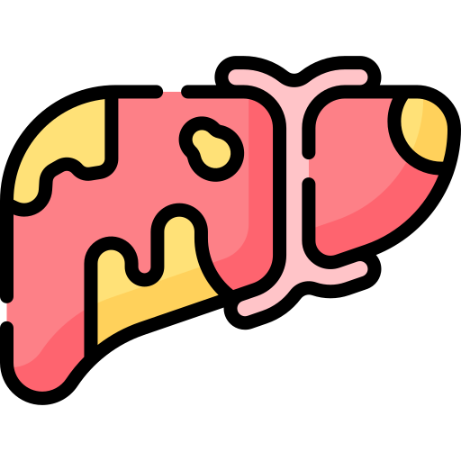 liver (1)